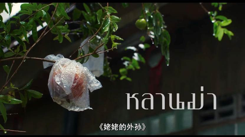 Screenshot_20250504_214904